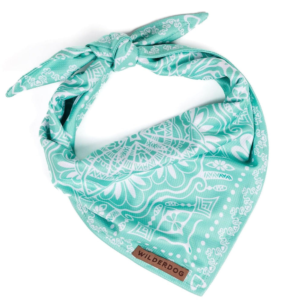 Wilderdog bandana Agave plié en avant montrant la coupe et le motif, facile à nouer