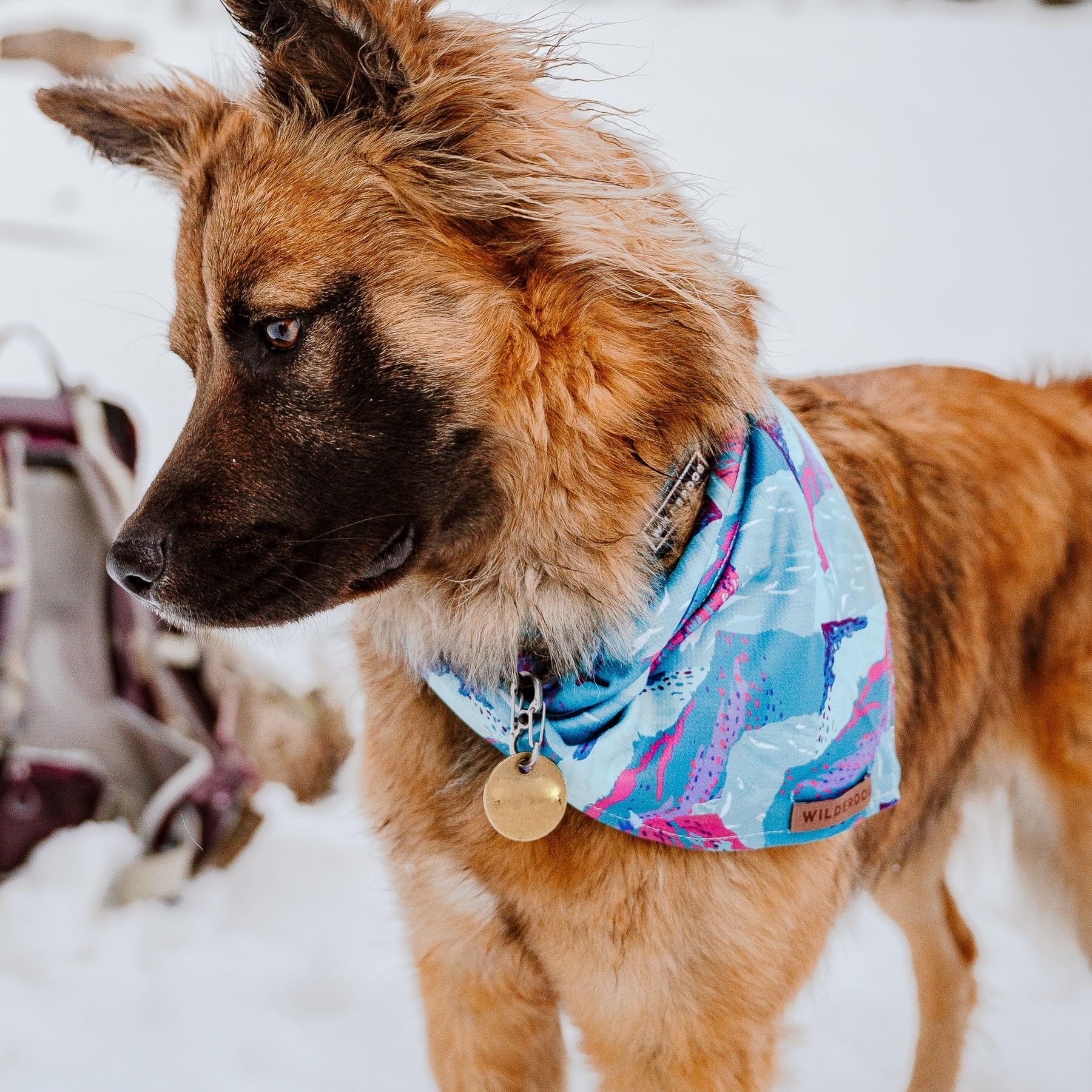 Wilderdog instructions lavage et séchage, entretien facile