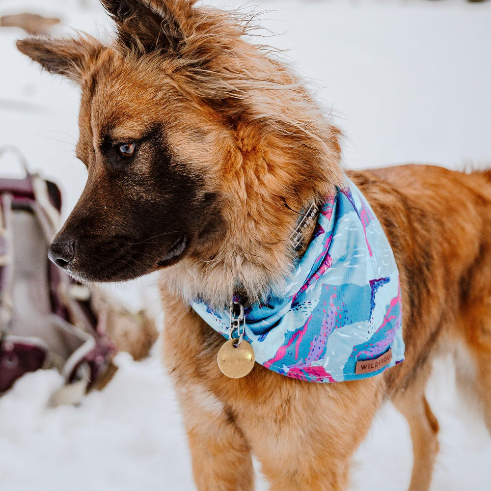 Wilderdog instructions lavage et séchage, entretien facile
