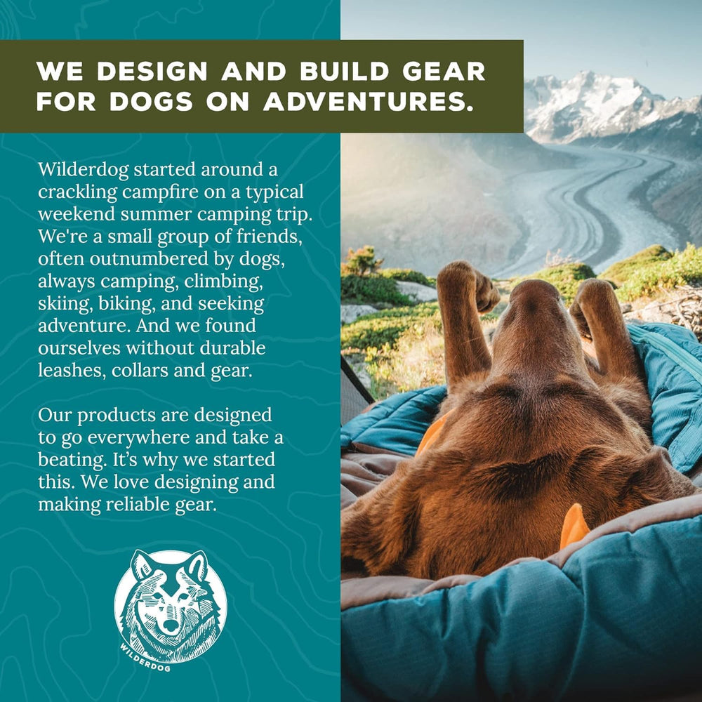 Wilderdog bandana en extérieur, style et fonctionnalité lors de promenades