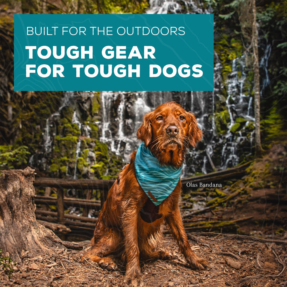Wilderdog démonstration nœud carré, tenue stable et pratique
