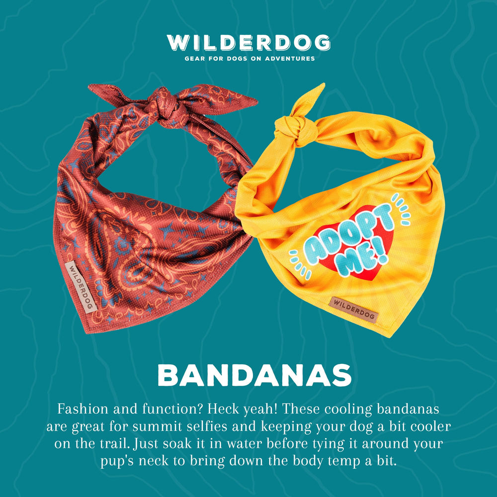 Wilderdog bandana porté sur chien actif, maintien sécurisé