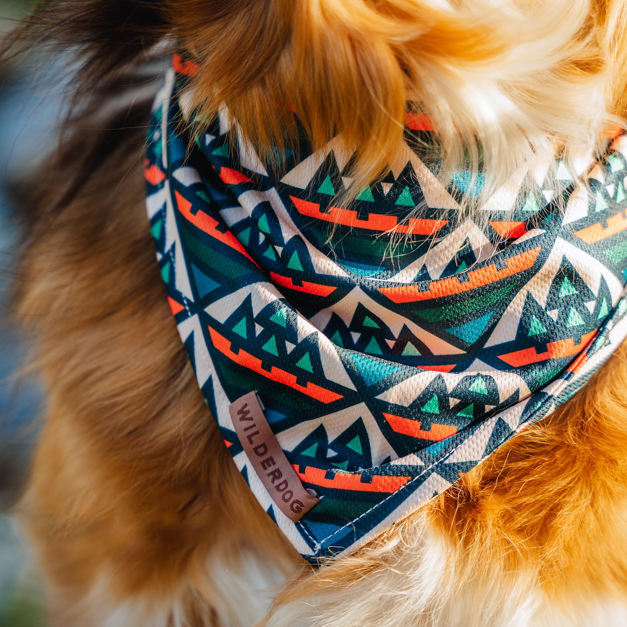 Wilderdog bandana en utilisation au parc pour style et liberté de mouvement
