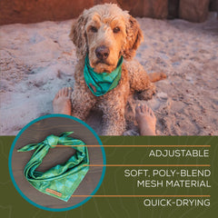 Wilderdog bandana portée sur chien en randonnée apporte fraîcheur et style