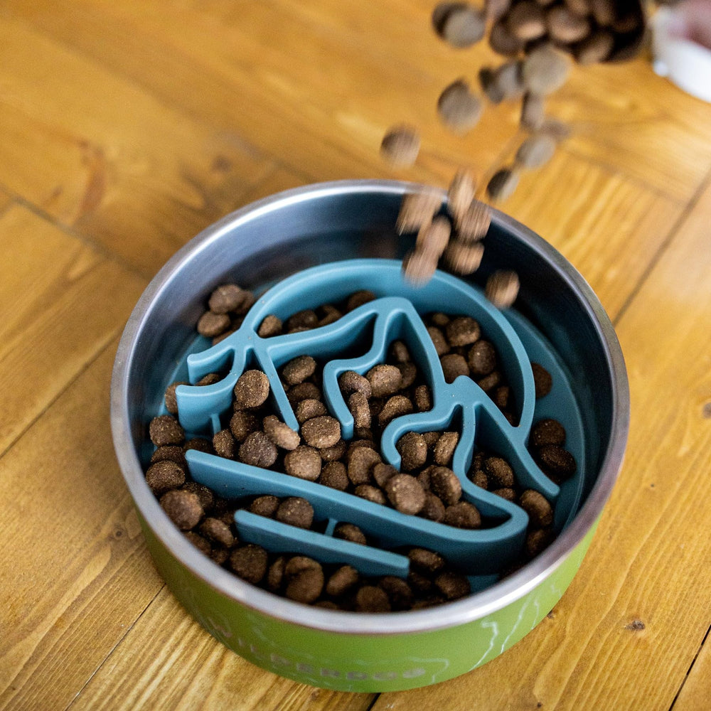 Wilderdog base avec bol inox compatible maintien stable et repas lent