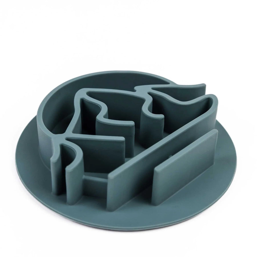 Wilderdog gros plan texture en silicone durable sécurité et hygiène