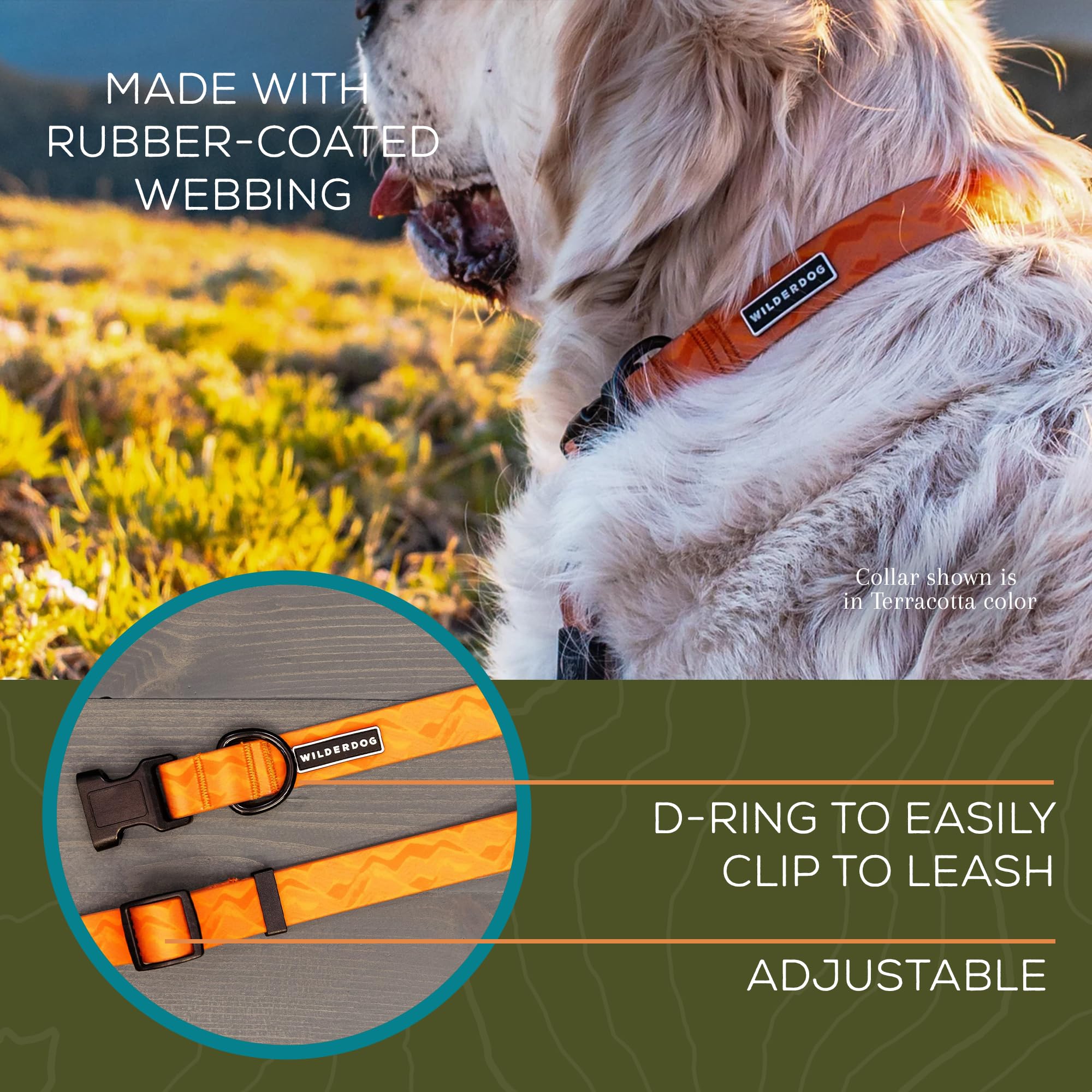 Wilderdog collier en action près d'une rivière montrant confort et étanchéité