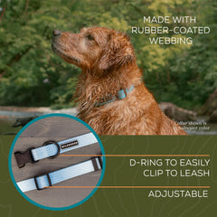 Wilderdog collier porté sur chien à la plage résiste à l'eau salée
