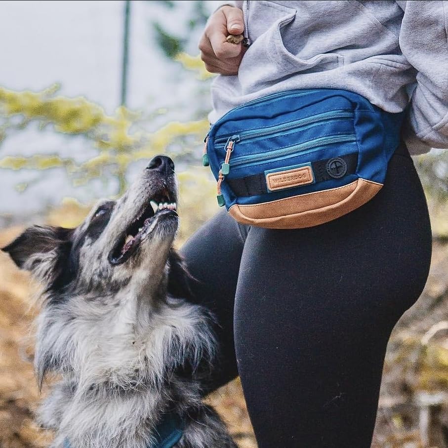 Wilderdog distributeur de sacs intégré, hygiène pratique