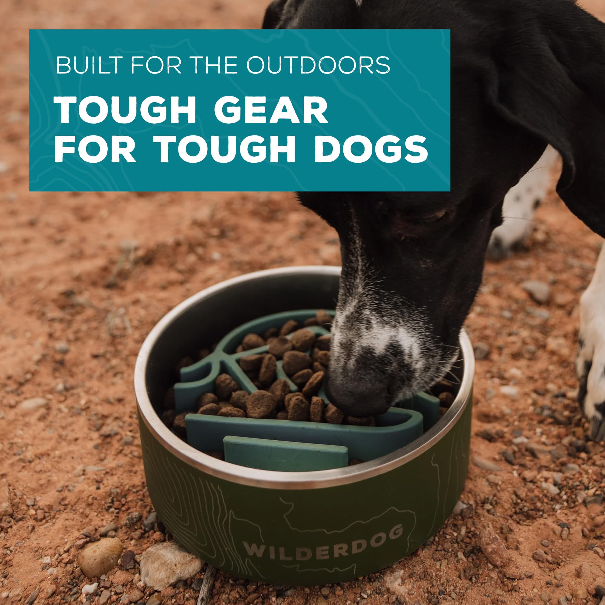 Wilderdog emballage et étiquette garantie à vie tranquillité d’esprit