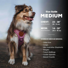 Wilderdog harnais boucle latérale en gros plan pour enfiler rapidement