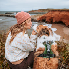 Wilderdog harnais dos avec anneau et poignée pour contrôle et aide