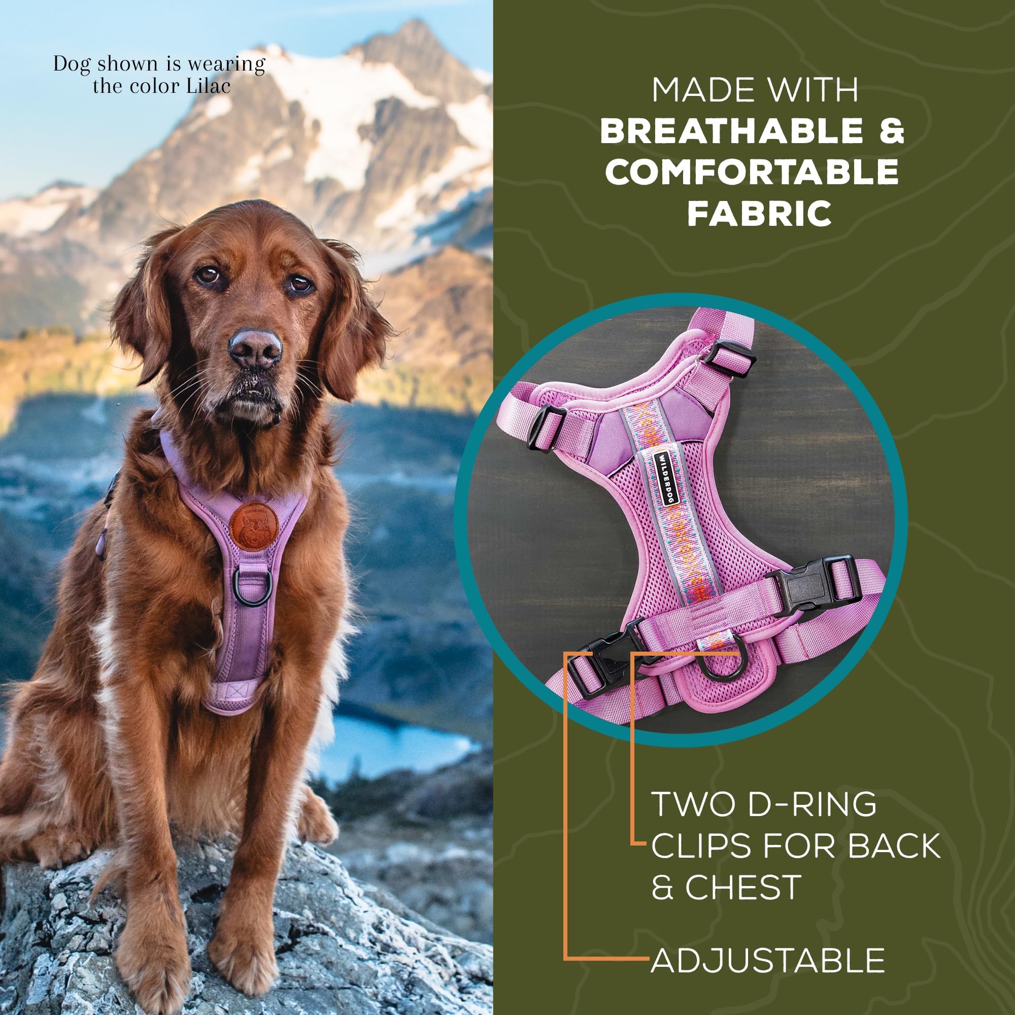 Wilderdog poignée supérieure pour aide pratique et sécurité
