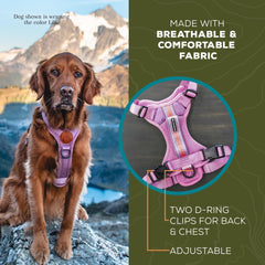 Wilderdog poignée supérieure pour aide pratique et sécurité