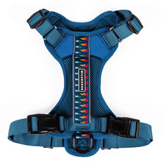 Wilderdog harnais face avant montrant la coupe et le design, confort immédiat