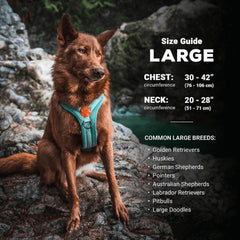 Wilderdog bandes réfléchissantes augmentant visibilité nocturne