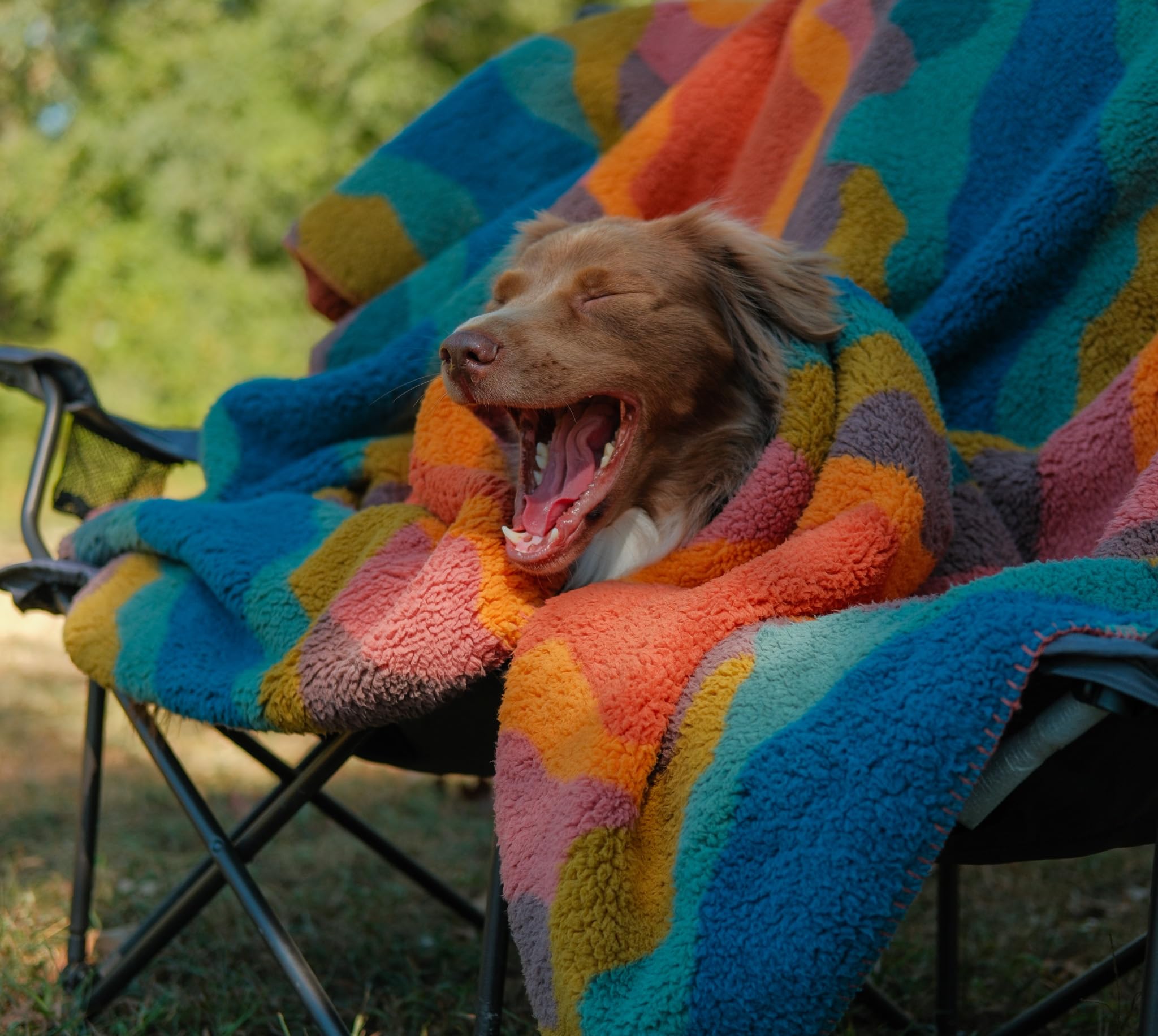 Wilderdog gros plan texture Sherpa douce offrant chaleur et confort