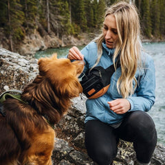 Wilderdog poche intérieure ouverte contenant friandises et balle, accès rapide