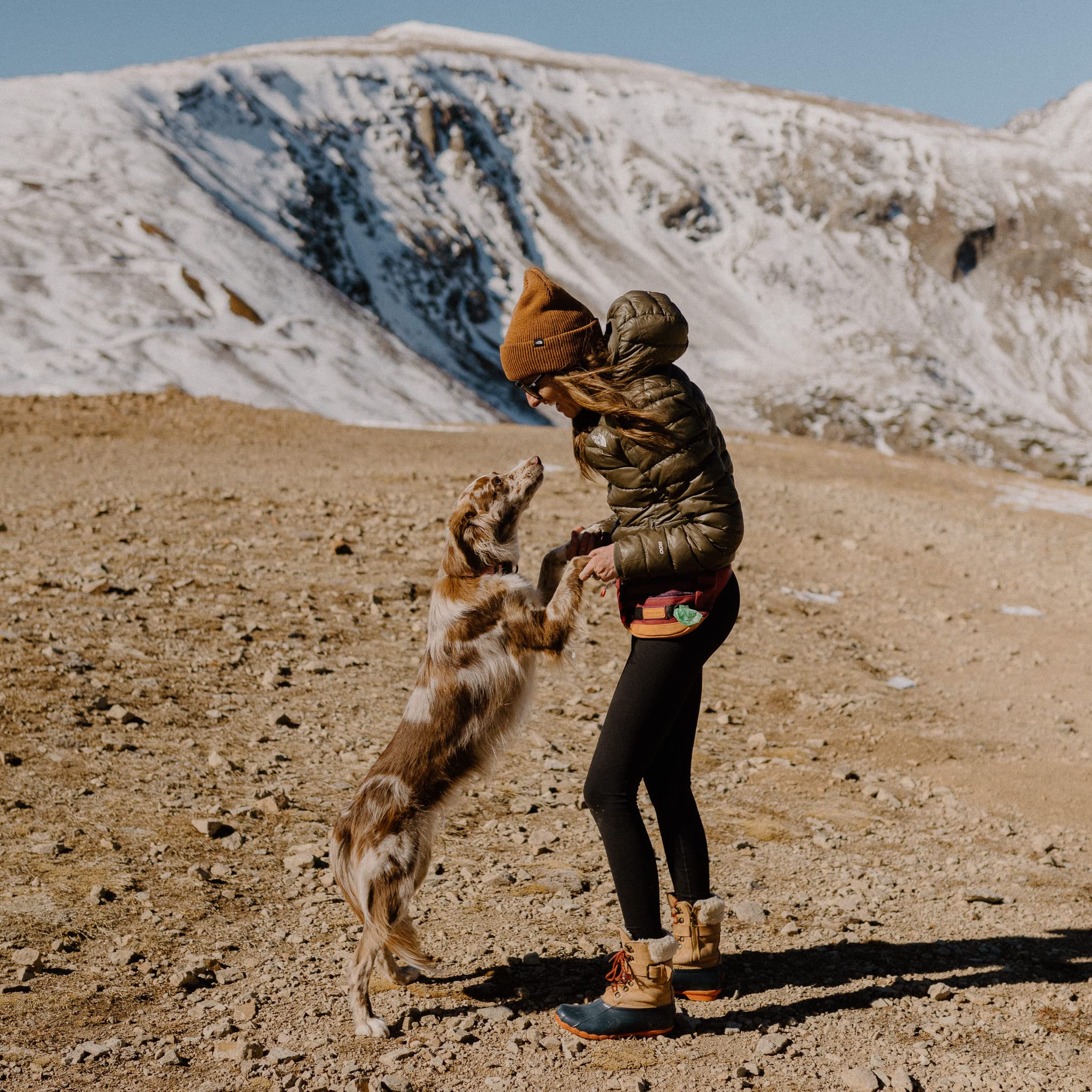 Wilderdog webbing avec carabiner pour accessoires sécurisés