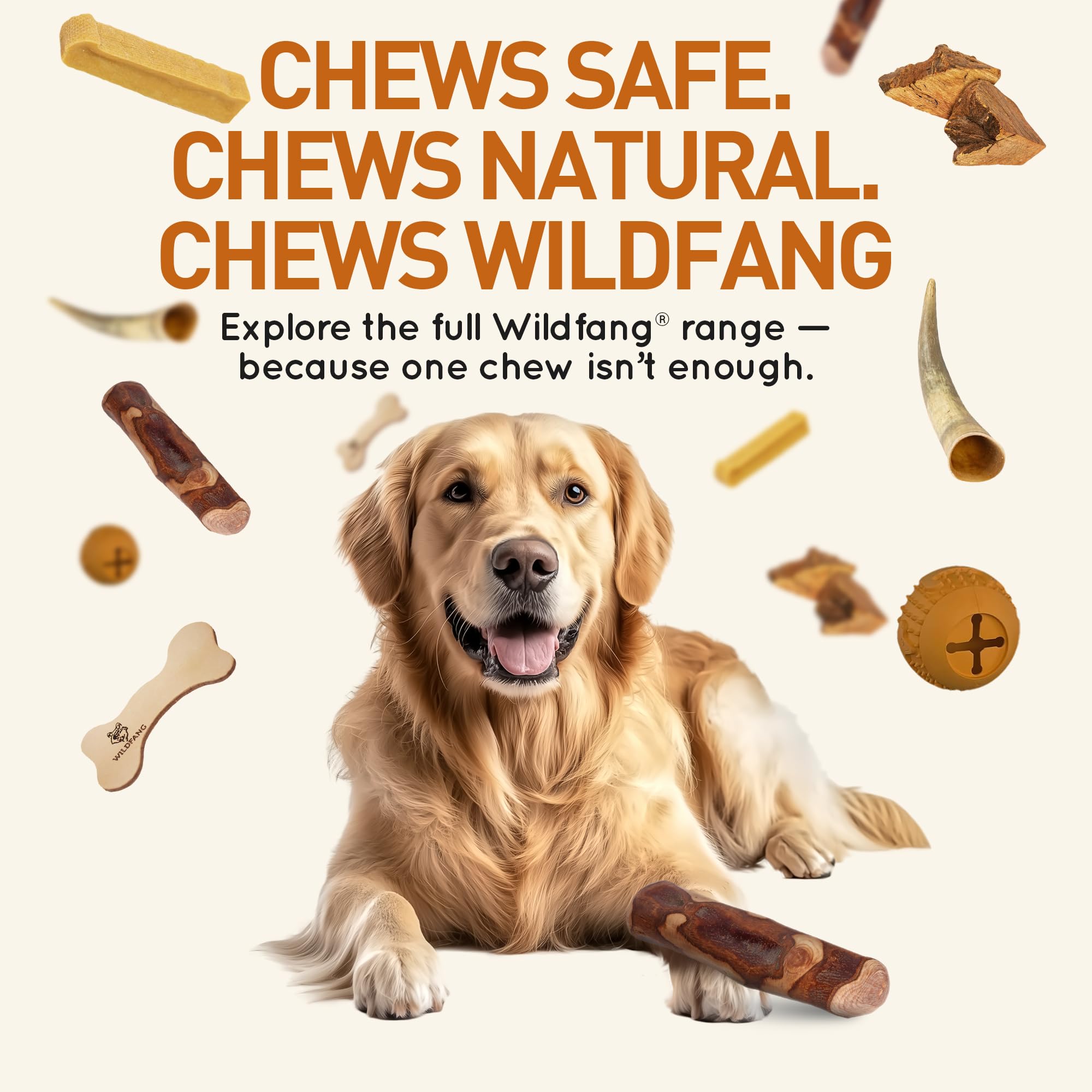 Wildfang chien adulte mâchant bâtonnet démontre durabilité pour mâcheurs forts