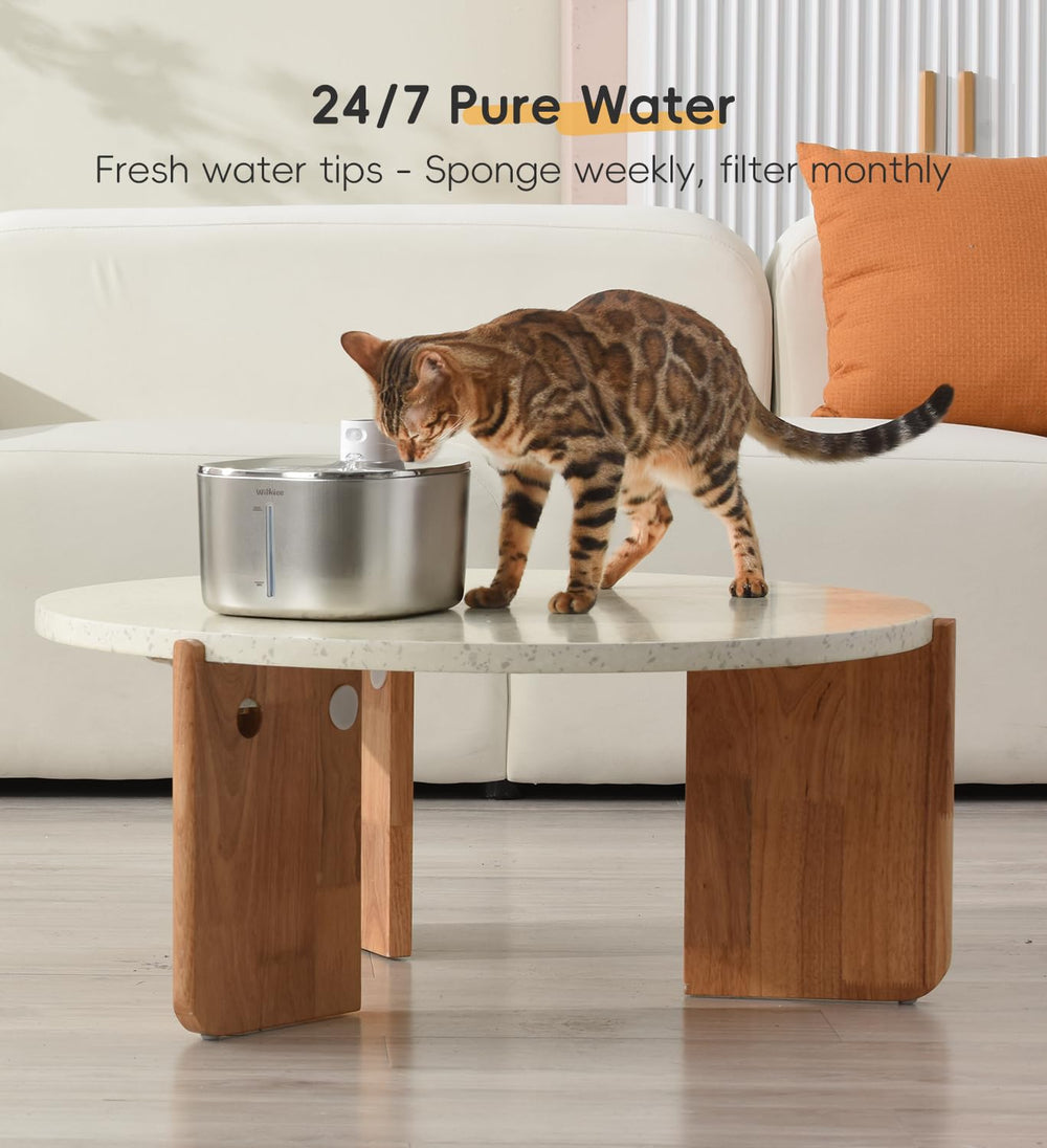Mousse pour pompe WILKIEE installée maintenant le débit et la longévité