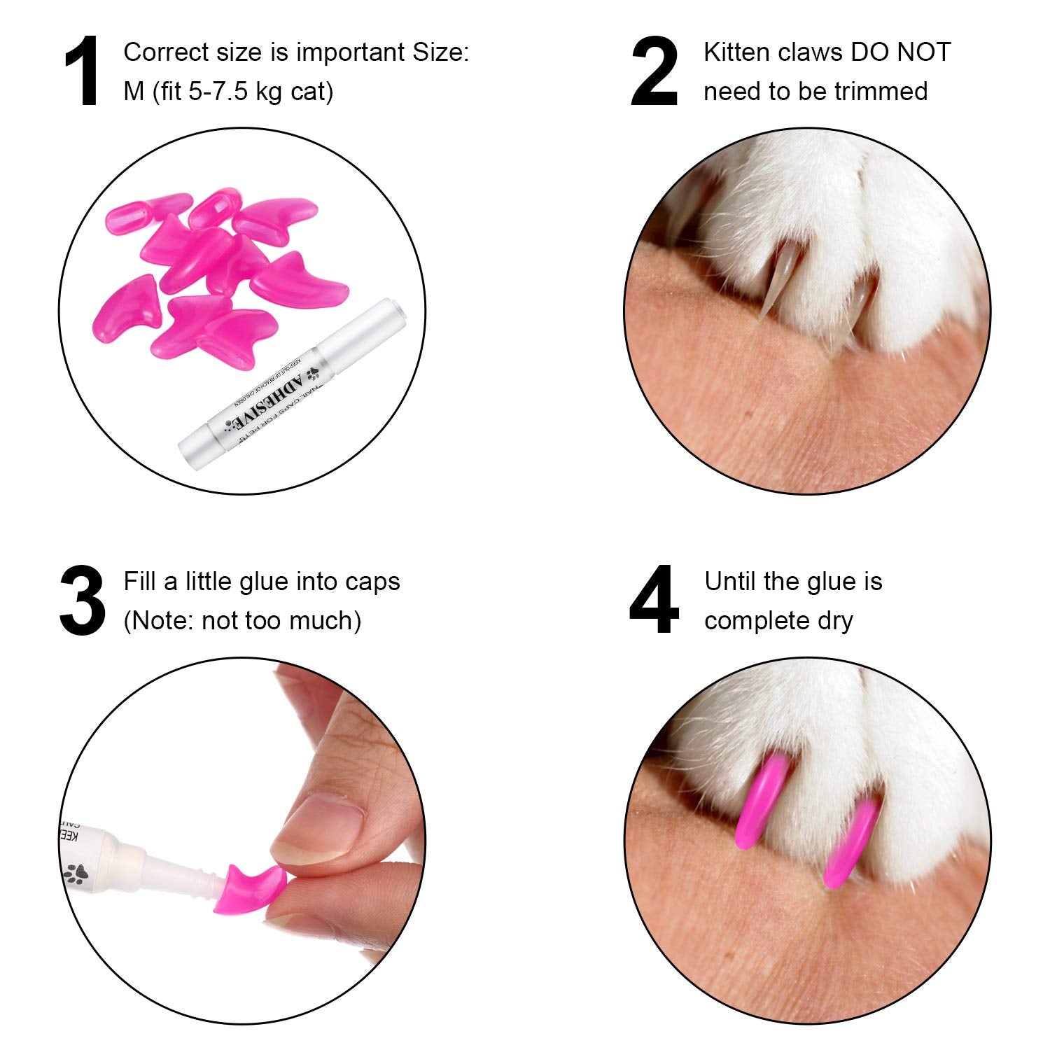 WILLBOND capuchons posés sur pattes de chat pour protection des meubles