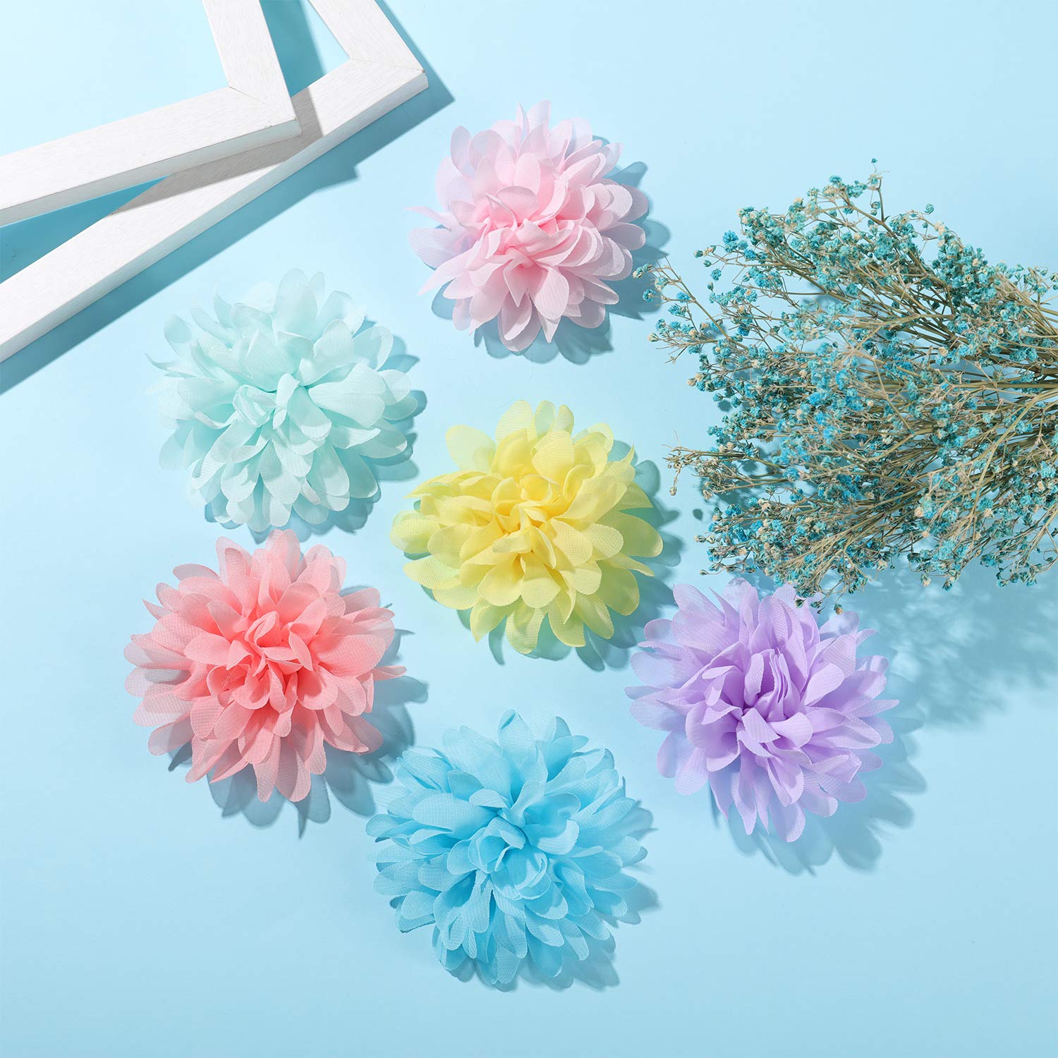 WILLBOND règle à côté de la fleur, indication claire de la taille