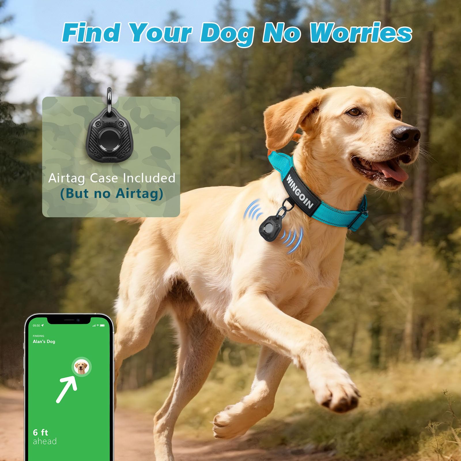 WINGOIN collier porté par grand chien montre ajustement et échelle