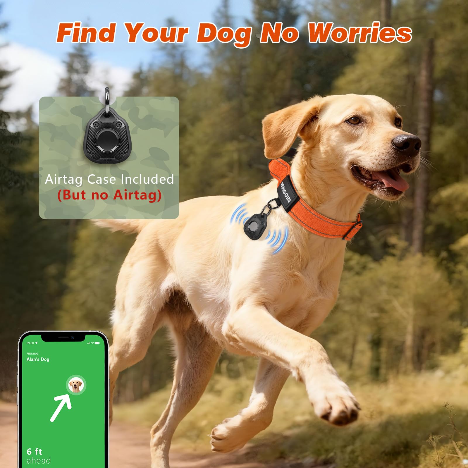WINGOIN comparaison taille, montre ajustement XL sur un gros chien