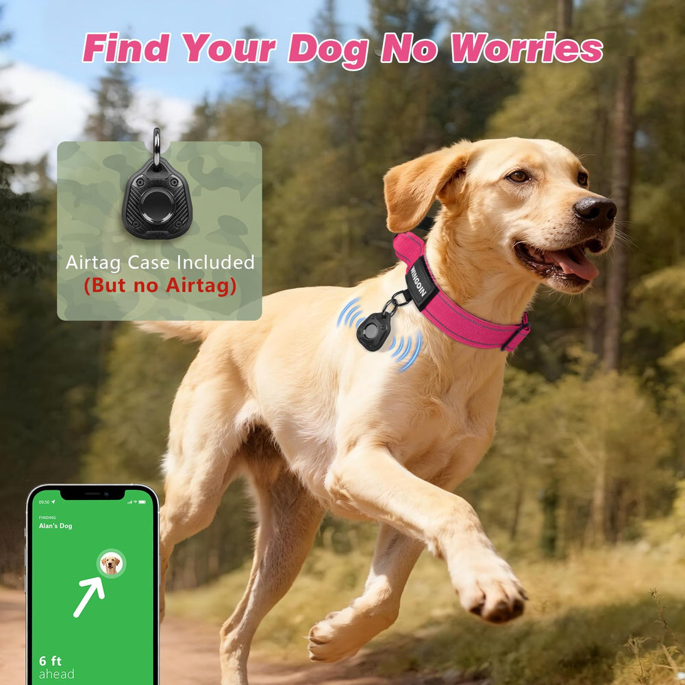 WINGOIN collier en usage promenade, contrôle pratique du chien