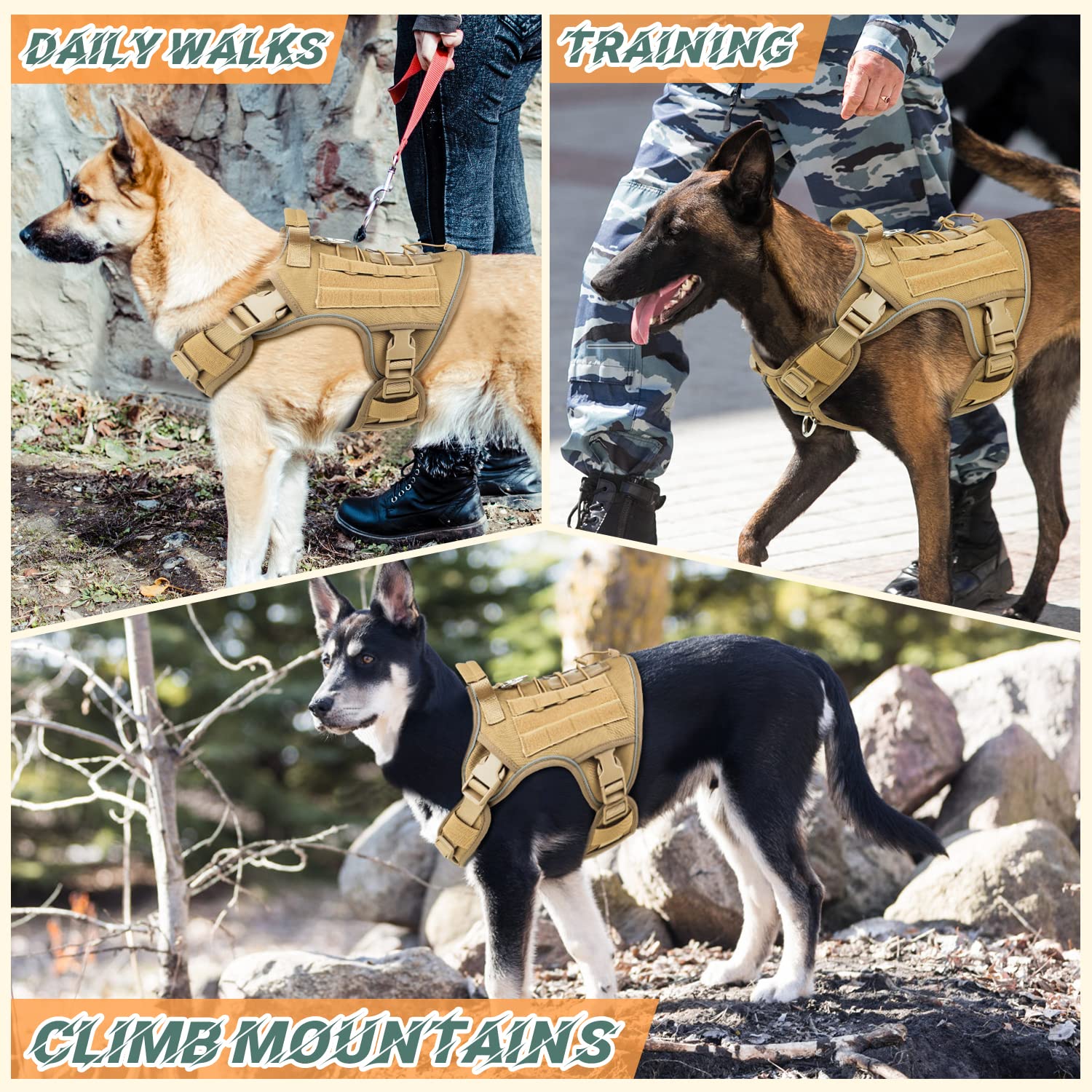 WINGOIN harnais taille M comparé à un chien moyen, montre l’ajustement et l’échelle
