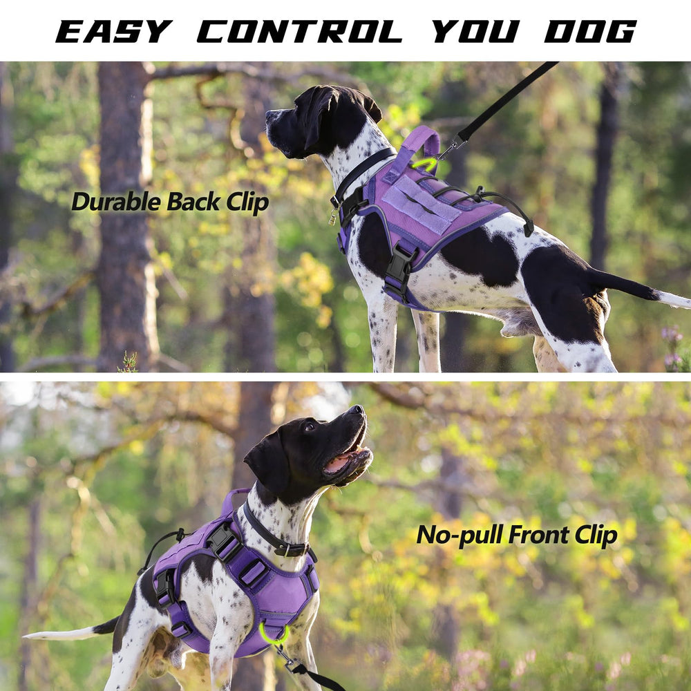 WINGOIN harnais bande réfléchissante pour sécurité nocturne accrue