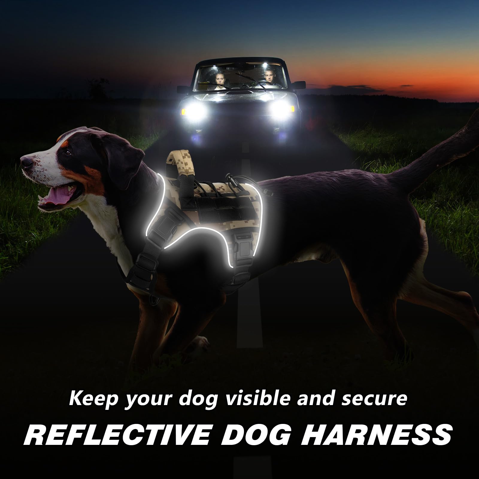 WINGOIN harnais porté par chien actif facilitant contrôle lors promenade