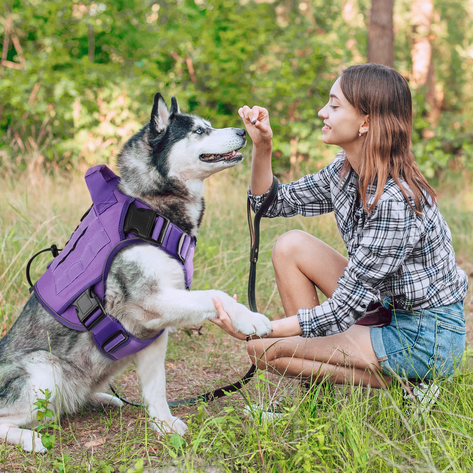 WINGOIN harnais porté par petit chien lors d'une promenade sécurisée