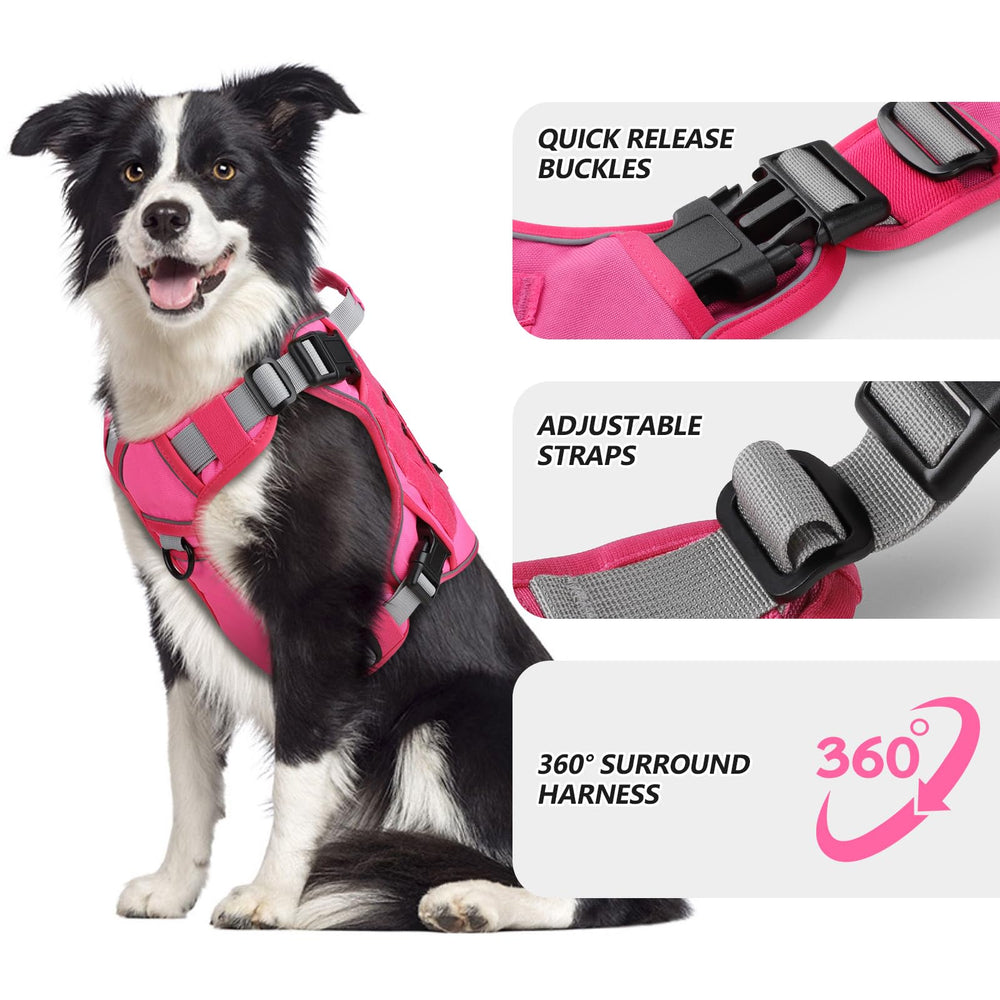 WINGOIN harnais rose gros plan matière nylon 1000D durabilité