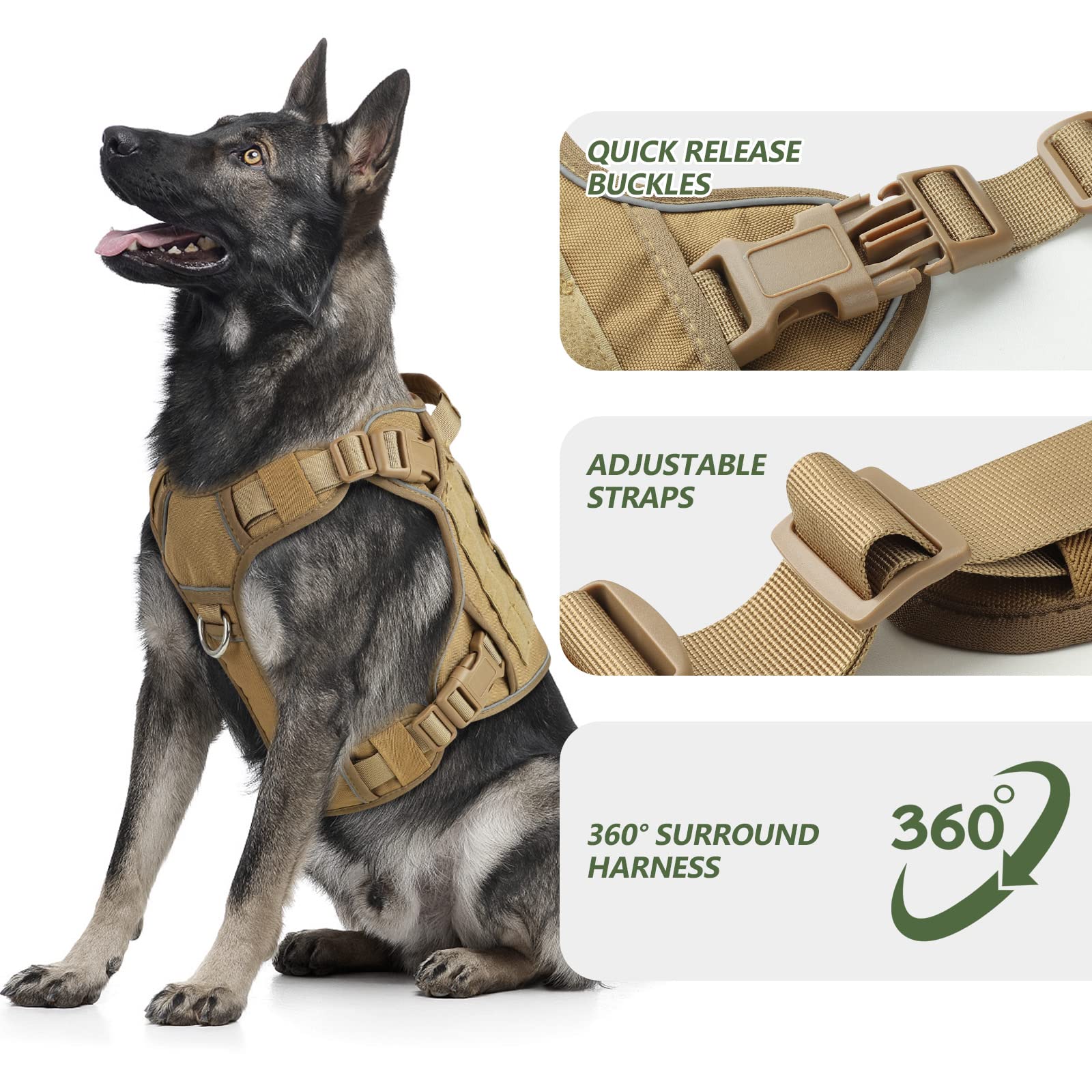 WINGOIN gros plan du mesh intérieur, respirant et confortable pour le chien actif