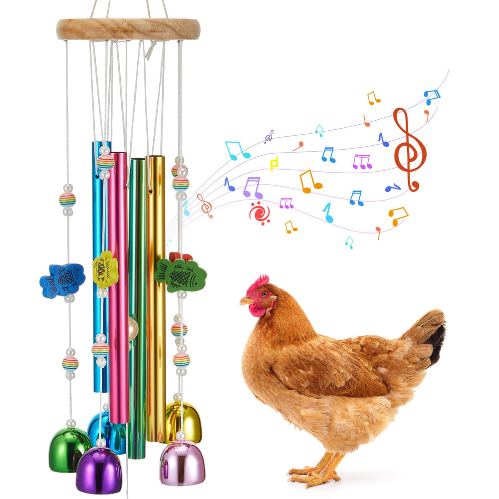 WinnerWhy carillon face multicolore montrant design et couleurs vives pour attirer poules