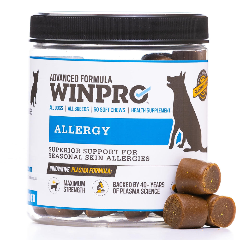 WINPRO pot de 60 friandises molles, pratique et dose quotidienne claire