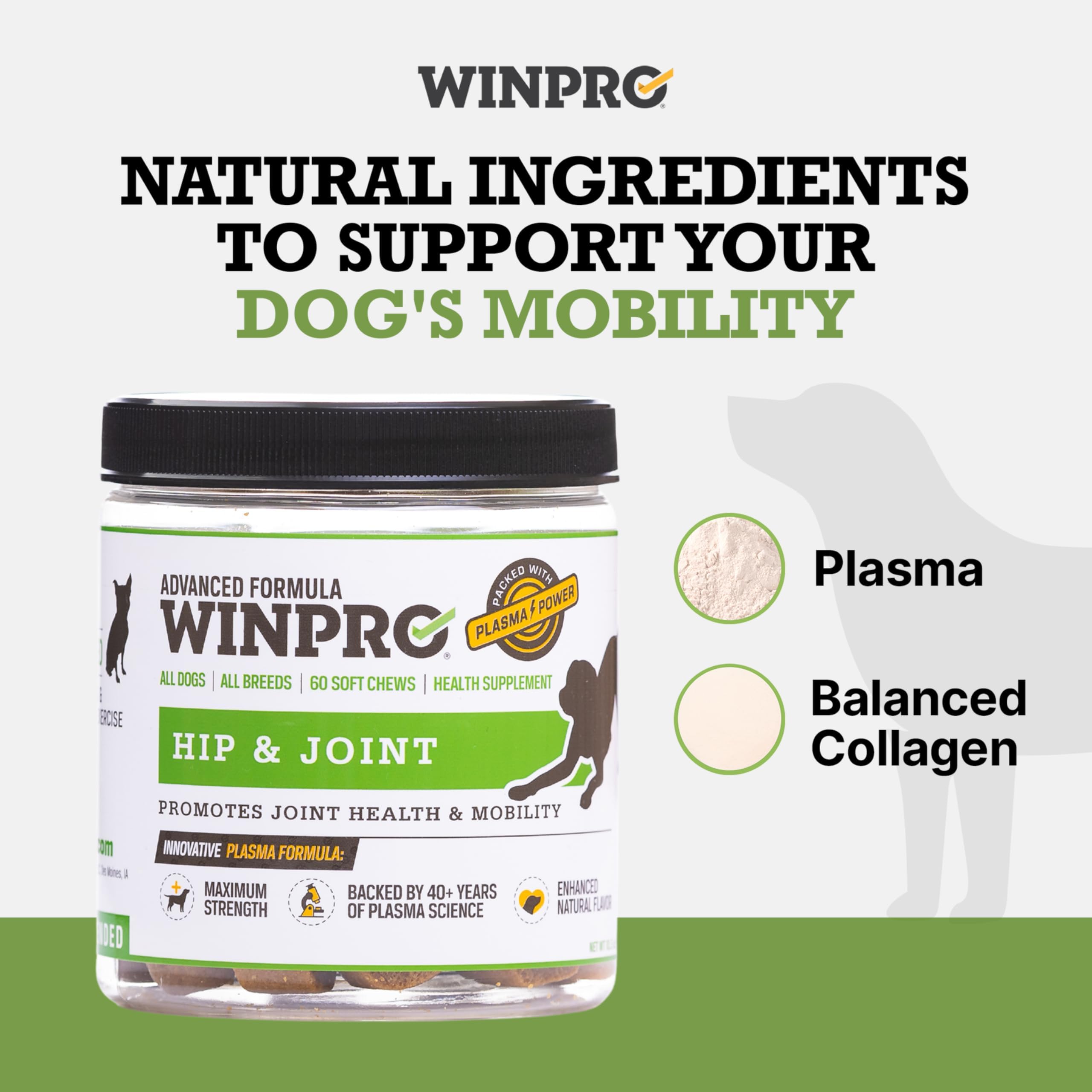 WINPRO deux boîtes côte à côte pour une cure prolongée