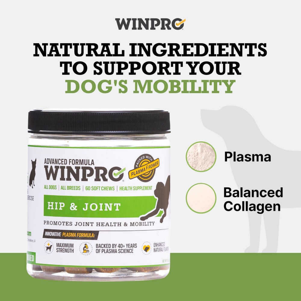 WINPRO deux boîtes côte à côte pour une cure prolongée