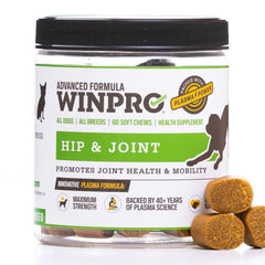 WINPRO emballage face montrant 60 chews et informations produit pour administration facile