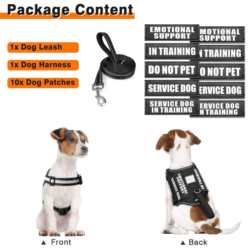 WINSEE comparaison taille harnais sur chien illustrant ajustement facile