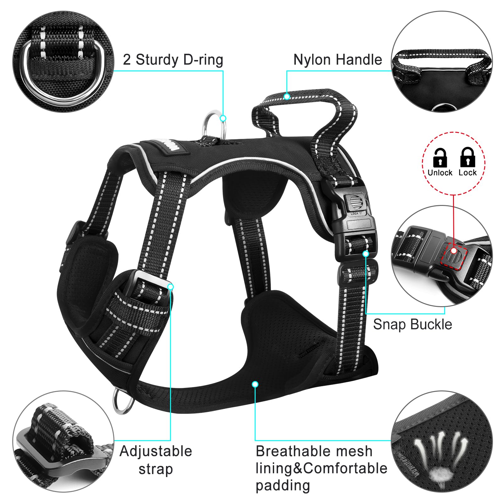 WINSEE clip frontal et D-ring métallique, prévention traction efficace