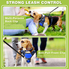 WINSEE clips avant et arrière métalliques offrant options anti-traction et promenade détendue