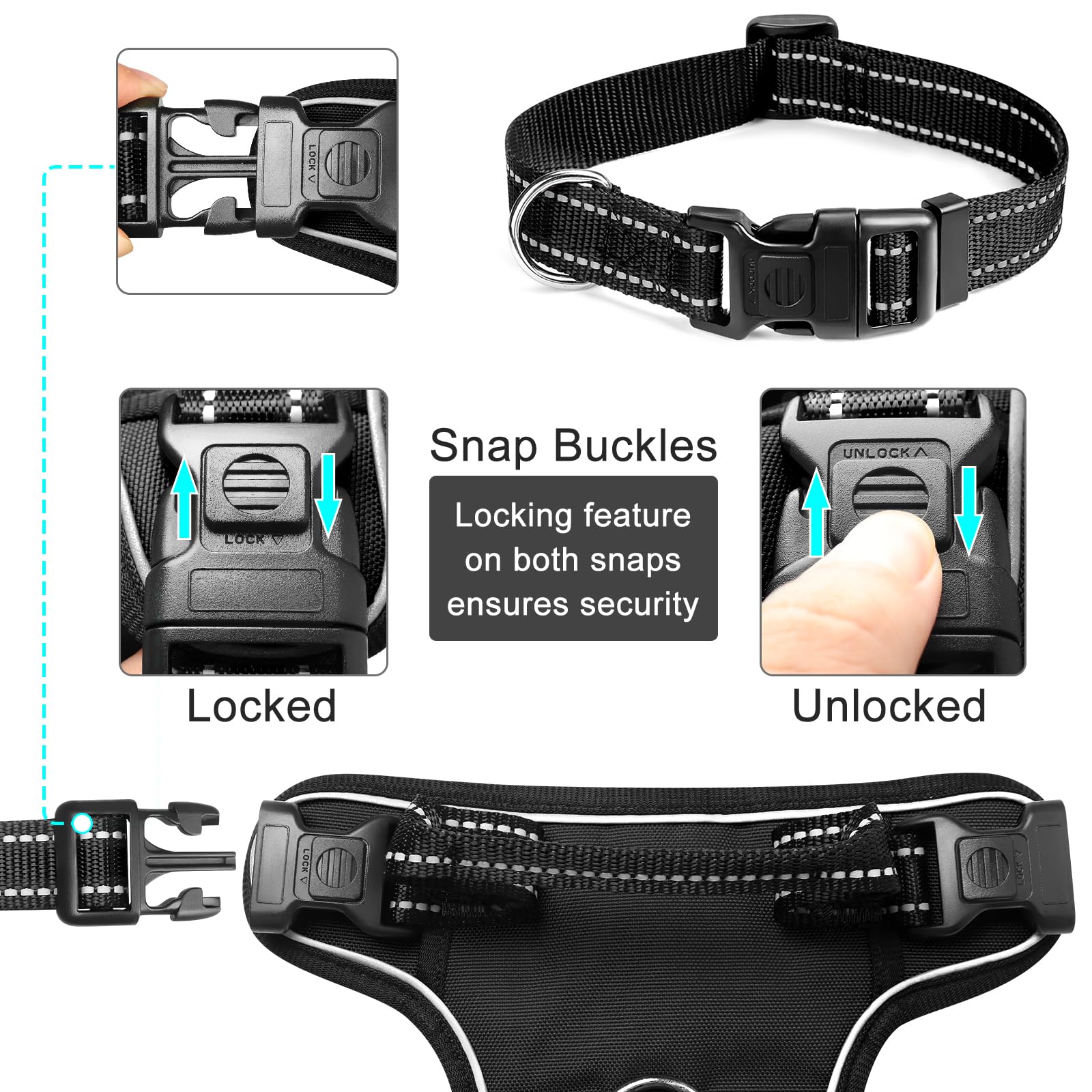 WINSEE collier inclus en gros plan, complément sécurisé pour promenades