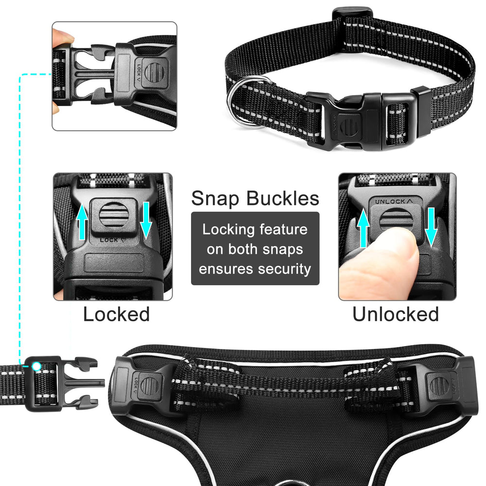 WINSEE collier inclus en gros plan, complément sécurisé pour promenades