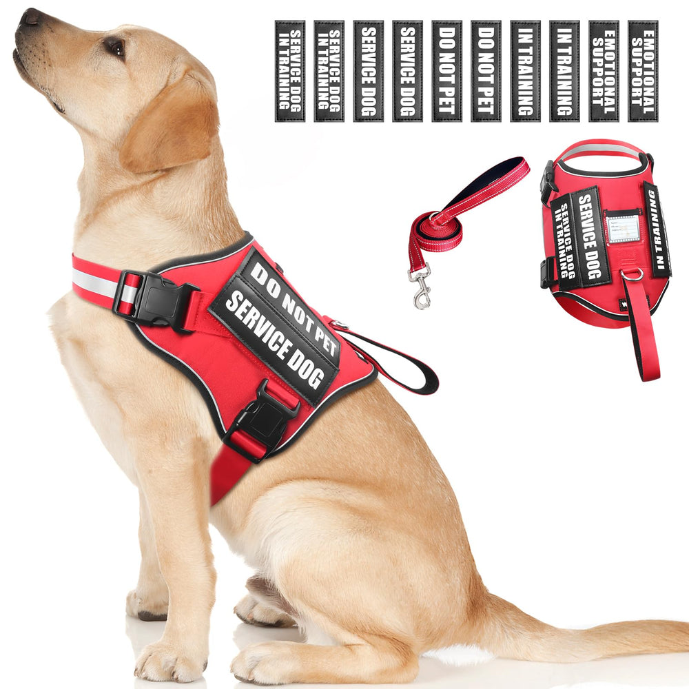 WINSEE harnais gilet vu de face avec zones pour patches, identification claire
