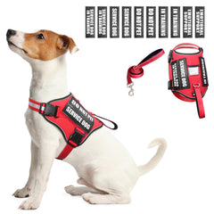 WINSEE harnais gilet face avant montrant clips et zones patch pour identification sécurisée
