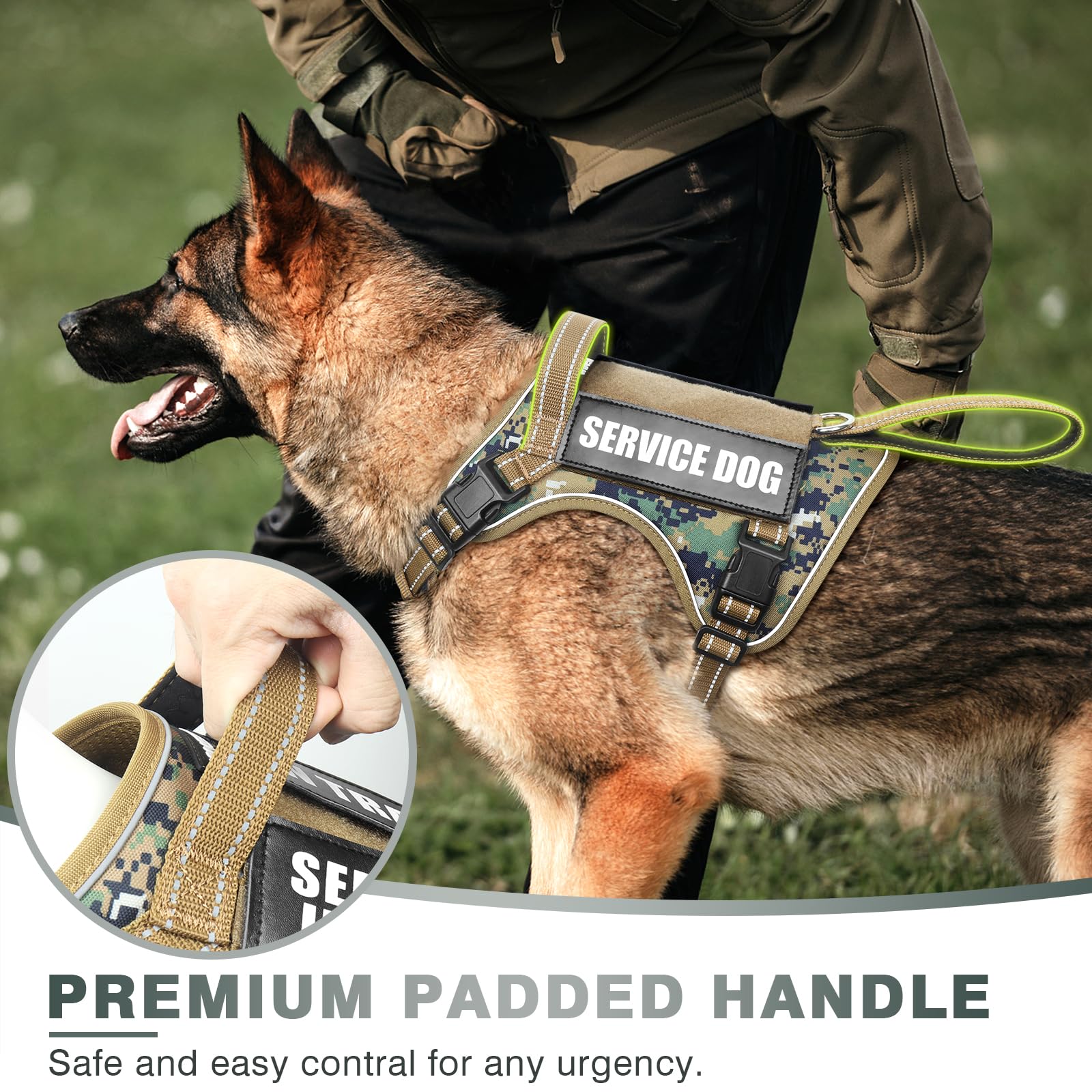 WINSEE système molle latéral avec pochettes pour personnaliser l'équipement du chien
