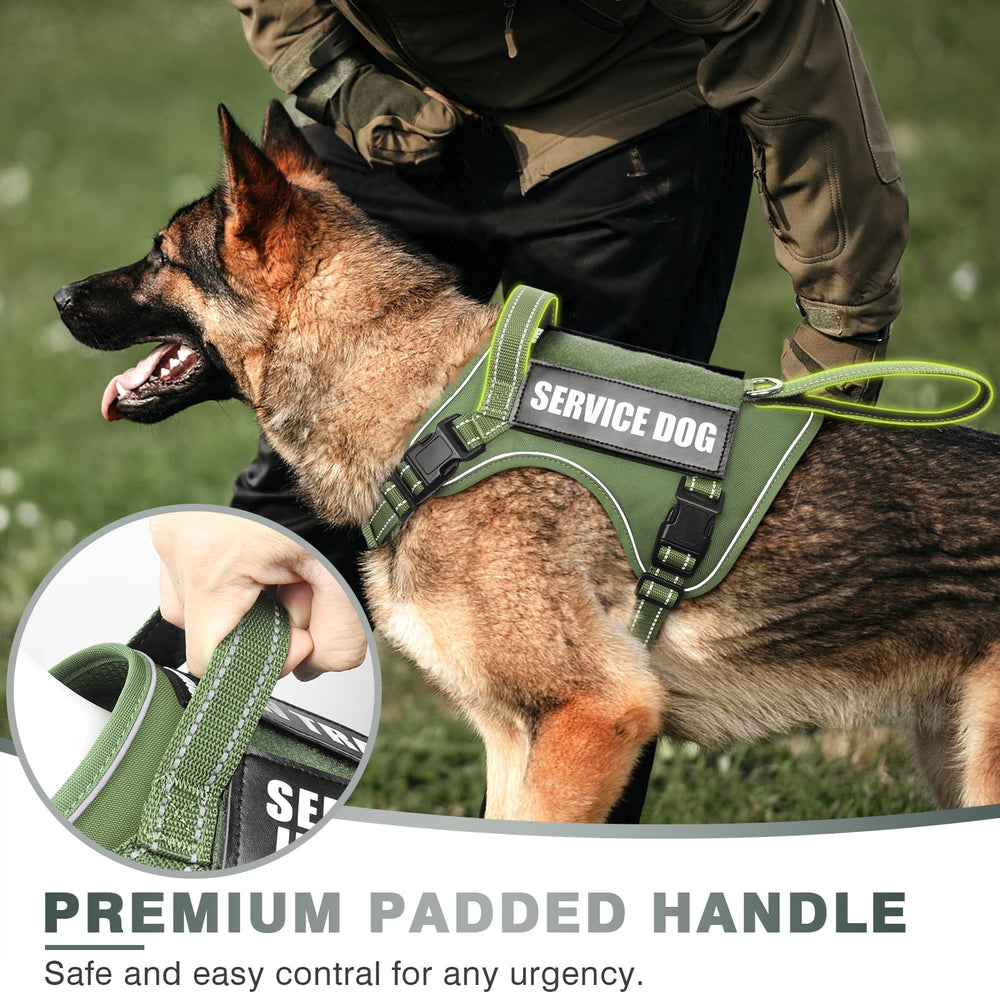 WINSEE harnais panneaux molle pour accessoires modulaires